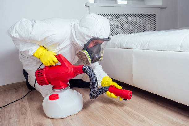 Best Bed Bug Extermination  in Springmont, PA